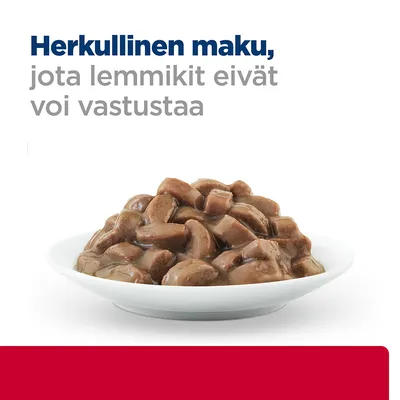 Herkullinen maku, jota lemmikit eivät voi vastustaa. Valkoisella lautasella ruskeita kastikkeessa olevia paloja.