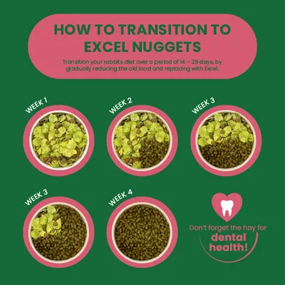 Switching to Excel Nuggets: Gradually replace the old food with Excel over 4 weeks. Note: Don’t forget hay for dental health. Switching to Excel Nuggets: Gradually replace the old food with Excel over 4 weeks. Note: Don’t forget hay for dental health.
