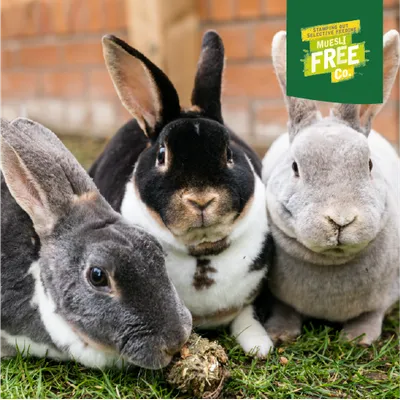Three rabbits on grass, top right a green seal with yellow lettering: Stamping Out Selective Feeding Muesli Free Co. Three rabbits on grass, top right a green seal with yellow lettering: Stamping Out Selective Feeding Muesli Free Co.