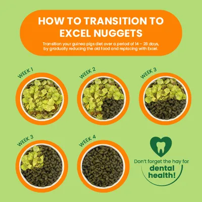 Burgess Excel Adult Guinea Pig Nuggets with Mint - 1.5kg Burgess Excel Adult Guinea Pig Nuggets with Mint - 1.5kg