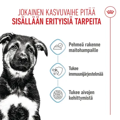Grafiikka, jossa on kolme symbolia ja teksti suomeksi: pehmeä koostumus maitohampaille, tukee immuunijärjestelmää, tukee aivojen kehitystä.