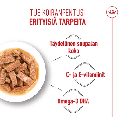 Kulhollinen lihapaloja kastikkeessa, Teksti: Täydellinen suupalan koko, C- ja E-vitamiinit, omega-3 DHA.