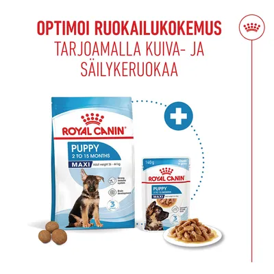 Royal Canin Puppy Maxi 2–15 kuukautta Kuiva- ja märkäruoka, 140 g pussi sekä suuret nappulat kuvattuna. Ihanteellinen ruokinta yhdistämällä molemmat ruokatyypit.