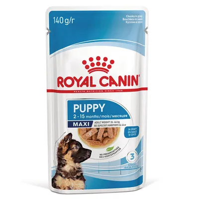 Royal Canin Maxi Puppy kastikkeessa