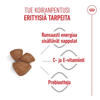 Raksuja, joissa on korkea energiapitoisuus, C- ja E-vitamiineja sekä prebiootteja. Raksuja, joissa on korkea energiapitoisuus, C- ja E-vitamiineja sekä prebiootteja.