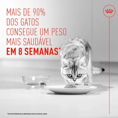 Mais de 90% dos gatos alcançam um peso mais saudável em 8 semanas. Estudo interno da Royal Canin.