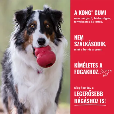 Kutya piros KONG-játékkal a szájában. Szöveg: A KONG gumi nem mérgező, biztonságos, természetes és tartós, nem repedezik, kíméletes a fogakhoz, erős rágásra is alkalmas.
