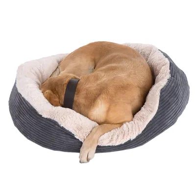 Panier pour chien en tissu gris à rebord haut et intérieur doux crème, avec un grand chien allongé à l'intérieur. Collier noir visible sur le chien.