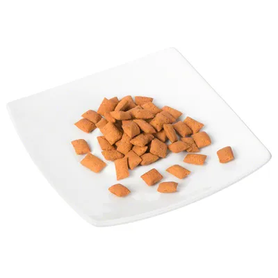 Brown, square dry food pieces on a white plate.