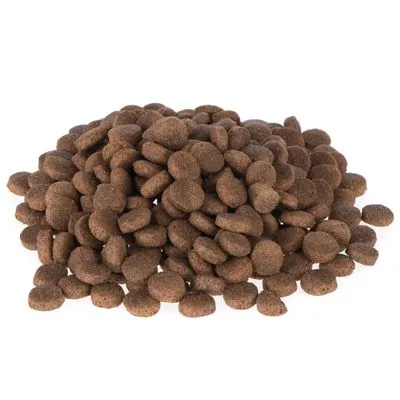 Briantos Adult Zalm & Rijst Hondenvoer