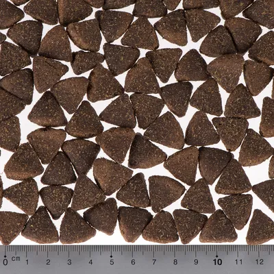 Crocchette triangolari marroni, scala in basso mostra una dimensione di circa 1 cm per pezzo.