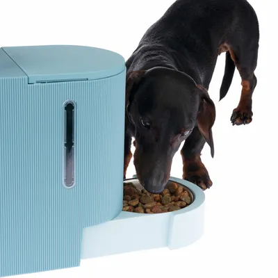 Automatischer Futterspender in Blau mit Hund, der Trockenfutter aus der Schale frisst. Sichtfenster zeigt verbleibende Futtermenge.