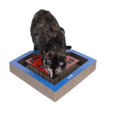 Krabplank van karton met blauwe rand en rood superheldenlogo, kat staat erop.