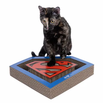 Krabplank van karton met Superman-logo in rood en blauw. Kat zit op de krabplank.