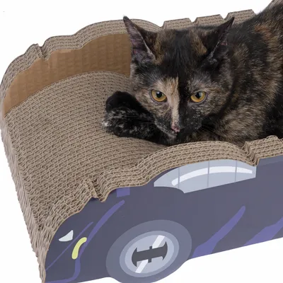 Kattenbed van golfkarton in auto-vorm, bruine kat ligt erop.
