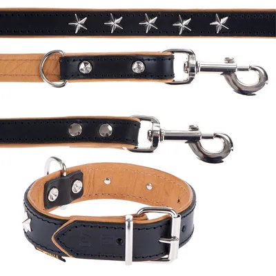 Svart hundhalsband och koppel i läder med silverfärgade stjärnnitar och metallspännen. Detaljvy av spännen, nitar och karbinhake.