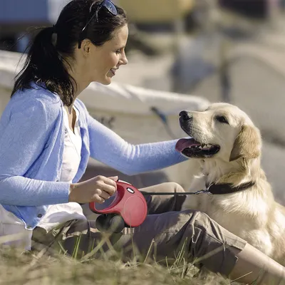 Persona seduta con cane al guinzaglio avvolgibile rosso, cane di taglia grande a pelo chiaro con collare nero. Guinzaglio tenuto in mano, uso all'aperto visibile.