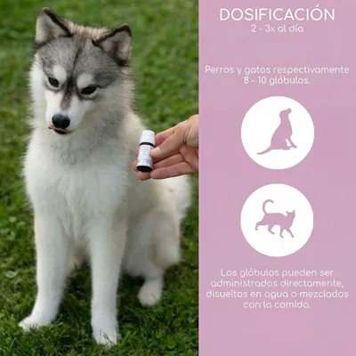 Wolfsbacher Natur Flores de Bach para mascotas Wolfsbacher Natur Flores de Bach para mascotas