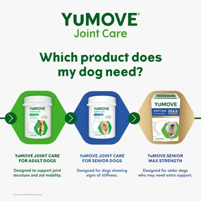 Comparison of YuMOVE Joint Care products: for adult dogs to support joint structure and mobility, for senior dogs showing stiffness, and Max Strength for older dogs needing extra support.