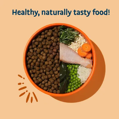 Bowl showing half dry pet food and half fresh ingredients including chicken, peas, carrots, rice, oats and herbs. Text above reads: Healthy, naturally tasty food!