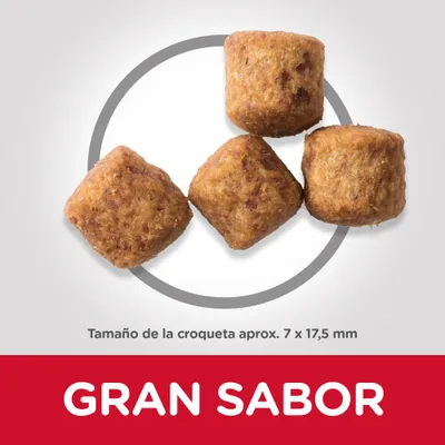 Croquetas de pienso, tamaño aproximado 7 × 17,5 mm. Texto visible: GRAN SABOR.