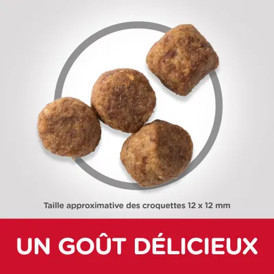 Taille approximative des croquettes 12 × 12 mm. Texte : UN GOÛT DÉLICIEUX.