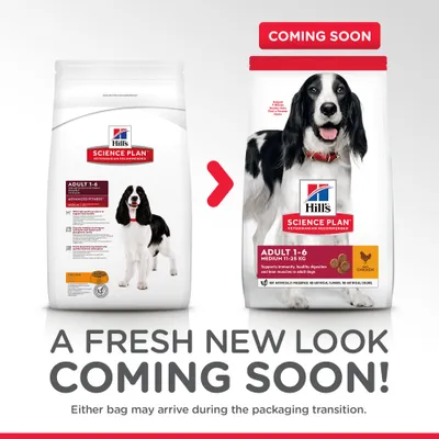 Hill's Science Plan Adult 1–6 Medium -koiranruoan pakkaus uudistuu. Vasemmalla vanha ja oikealla uusi pakkaus, teksti: COMING SOON! Molemmat pakkaukset voivat saapua tilauksessa.