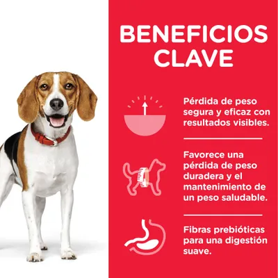 Beneficios clave: pérdida de peso segura y eficaz, favorece el mantenimiento de un peso saludable, fibras prebióticas para una digestión suave. Imagen de perro con collar rojo.