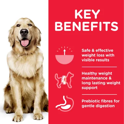 Key benefits: safe and effective weight loss with visible results, healthy weight maintenance and long-lasting weight support, prebiotic fibres for gentle digestion.