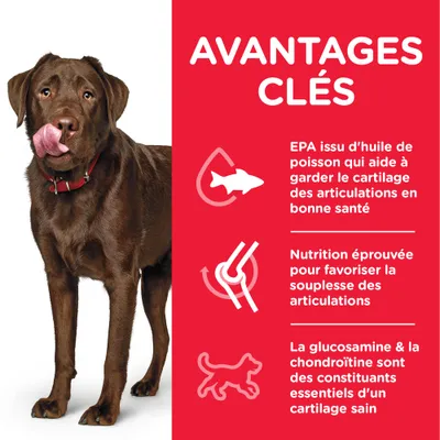 AVANTAGES CLÉS : EPA issu d’huile de poisson pour le cartilage, nutrition éprouvée pour la souplesse des articulations, glucosamine et chondroïtine essentiels au cartilage sain.
