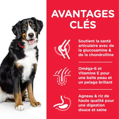 AVANTAGES CLÉS : Soutient la santé articulaire avec de la glucosamine & de la chondroïtine, Oméga-6 et Vitamine E pour une belle peau et un pelage brillant, Agneau & riz de haute qualité pour une digestion douce et saine