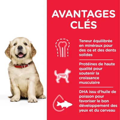 AVANTAGES CLÉS : Teneur équilibrée en minéraux pour des os et des dents solides, protéines de haute qualité pour la croissance musculaire, DHA issu d’huile de poisson pour le cerveau et les yeux.