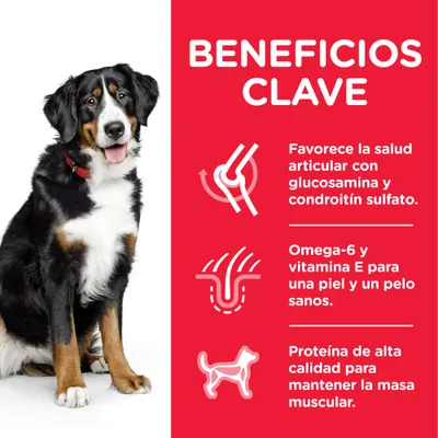 Beneficios clave: salud articular con glucosamina y condroitín sulfato, omega-6 y vitamina E para piel y pelo sanos, proteína de alta calidad para mantener la masa muscular.