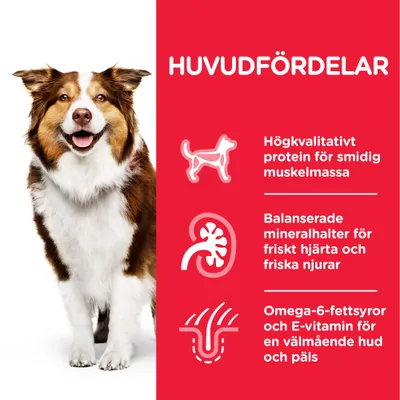 HUVUDFÖRDELAR: Högkvalitativt protein för smidig muskelmassa, balanserade mineralhalter för friskt hjärta och friska njurar, omega-6-fettsyror och E-vitamin för hud och päls.