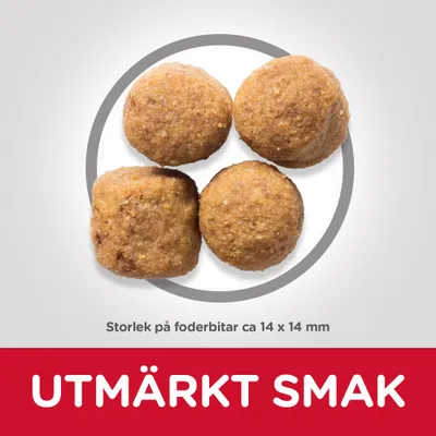 Fyra foderbitar, storlek ca 14 x 14 mm. Text: UTOMRÄKT SMAK.