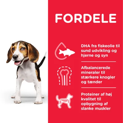 FORDELE: DHA fra fiskeolie til sund udvikling og hjerne og syn, afbalancerede mineraler til stærkere knogler og tænder, proteiner af høj kvalitet til opbygning af slanke muskler.