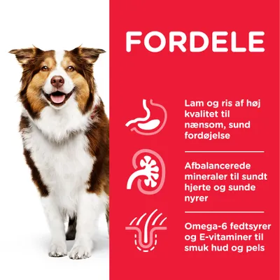 FORDELE: Lam og ris af høj kvalitet til nænsom, sund fordøjelse. Afbalancerede mineraler til sundt hjerte og sunde nyrer. Omega-6 fedtsyrer og E-vitaminer til smuk hud og pels.