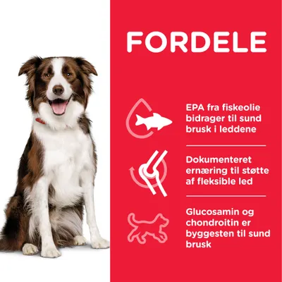 FORDELE: EPA fra fiskeolie bidrager til sund brusk i leddene. Dokumenteret ernæring til støtte af fleksible led. Glucosamin og chondroitin er byggesten til sund brusk.