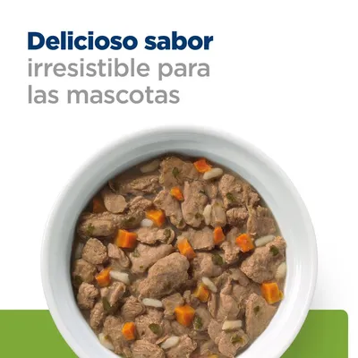 Texto: Delicioso sabor irresistible para las mascotas. Plato blanco con comida húmeda para mascotas, trozos de carne y verduras visibles.