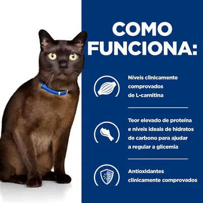 Como funciona: Níveis clinicamente comprovados de L-carnitina. Teor elevado de proteína e níveis ideais de hidratos de carbono para ajudar a regular a glicemia. Antioxidantes clinicamente comprovados.