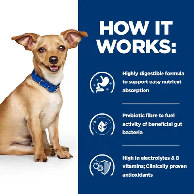 HOW IT WORKS: Highly digestible formula to support easy nutrient absorption, Prebiotic fibre to fuel activity of beneficial gut bacteria, High in electrolytes & B vitamins; Clinically proven antioxidants (angol nyelvű szöveg)