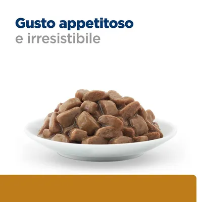 Gusto appetitoso e irresistibile. Ciotola bianca con bocconcini di cibo umido marrone in salsa, testo visibile: Gusto appetitoso e irresistibile.