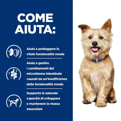 COME AIUTA: Aiuta a proteggere la vitale funzionalità renale, gestire i cambiamenti del microbioma intestinale e supportare la capacità di sviluppare e mantenere la massa muscolare.