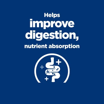 Helps improve digestion, nutrient absorption felirat és stilizált emésztőrendszer ikon angol nyelven