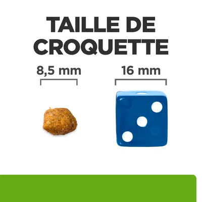 Taille de croquette : 8,5 mm à côté d’un dé bleu de 16 mm pour comparaison visuelle