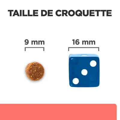 Taille de croquette : diamètre 9 mm, comparée à un dé bleu de 16 mm. Indication visuelle pour évaluer la taille réelle des croquettes.