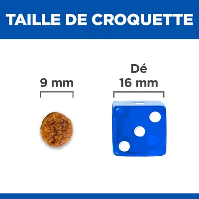 Comparaison de taille : croquette ronde 9 mm à côté d’un dé bleu 16 mm. Texte visible : « TAILLE DE CROQUETTE », « 9 mm », « Dé 16 mm ».