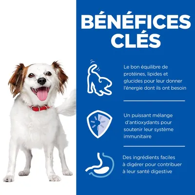 BÉNÉFICES CLÉS : équilibre protéines, lipides, glucides pour l’énergie ; mélange d’antioxydants pour le système immunitaire ; ingrédients faciles à digérer pour la santé digestive.