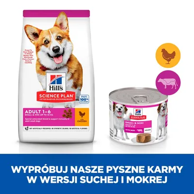 Hill's Science Plan Adult 1–6 Small & Mini do 10 kg, karma sucha z kurczakiem i mokra z wołowiną. Napis: Wypróbuj nasze pyszne karmy w wersji suchej i mokrej.
