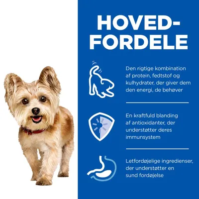 HOVEDFORDELE: Den rigtige kombination af protein, fedtstof og kulhydrater; kraftfuld blanding af antioxidanter; letfordøjelige ingredienser. Tekst med ikoner og hund.